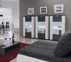 Vitrína Caracas typ 24, grafit/biely lesk, s osvetlením