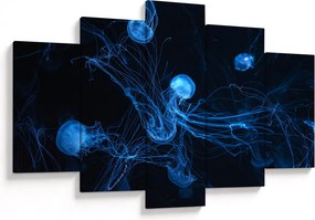 Obraz - Medúzy (150x105 cm)