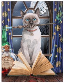 Obraz na plátne mačka kúzelníčka - dizajn Lisa Parker