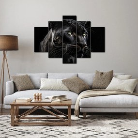 Obraz - Čierny panter (150x105 cm)