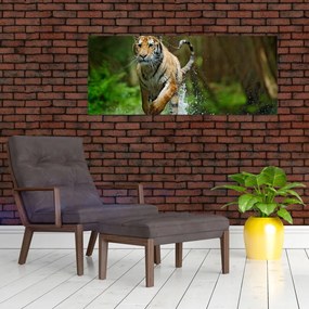 Obraz bežiaceho tigra (120x50 cm)