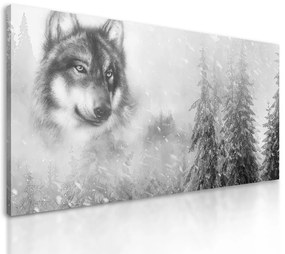 Obraz portrét vlka v čiernobielom prevedení