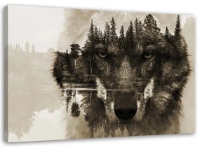 Obraz na plátně Vlk na pozadí lesní přírody - 120x80 cm