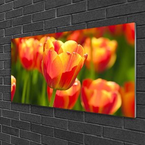 Skleneny obraz Tulipány kvety rastlina 125x50 cm