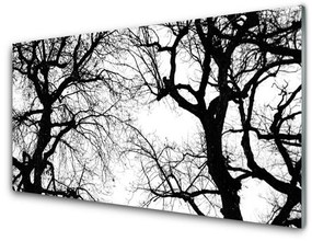 Sklenený obklad Do kuchyne Stromy príroda čiernobiely 125x50 cm