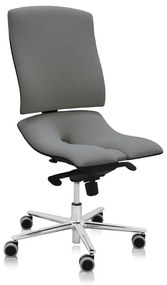 Zdravotná stolička Steel Standard, sivá