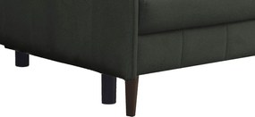 Rozkladacia pohovka Vannes, tmavo zelená látka