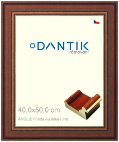 DANTIK rám na obraz 40x50 | ANGLIE hnědá Au linka (Plexi Čiré)