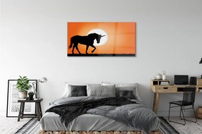 Obraz na akrylátovom skle Sunset unicorn 125x50 cm