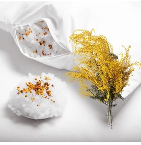 Aromatický vankúš Albizia 50x70 cm EMI