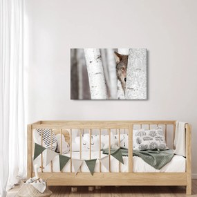 Obraz - Vlk (90x60 cm)