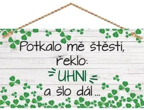 Bohemia Gifts Dekoračný obrázok na zavesenie - Šťastie