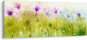 Obraz - Lúčne kvety (120x50 cm)