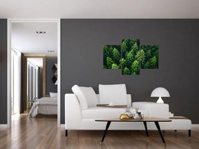 Obraz - Les (90x60 cm)