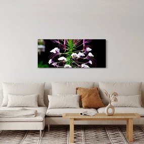 Obraz kvetu (120x50 cm)