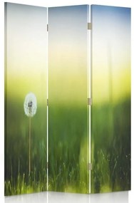 Ozdobný paraván, Pampeliška v zelené trávě - 110x170 cm, trojdielny, obojstranný paraván 360°