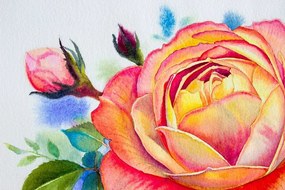 Samolepiaca tapeta kreslené ruže - 225x150