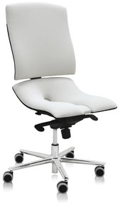 Zdravotná stolička Steel Standard, biela
