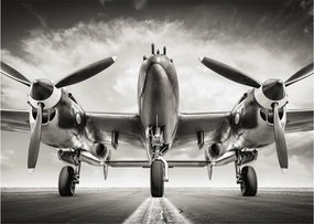 Sklenený obraz - Warbird (70x50 cm)