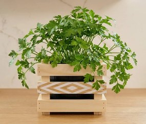 AMADEA Drevený obal s kvetináčom s motívom kosoštvorčov, 17x17x15cm Český výrobok