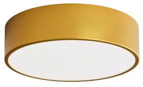 Brilagi - Stropné svietidlo CLARE 2xE27/24W/230V pr. 30 cm zlatá