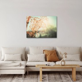 Obraz - Rastliny po daždi (70x50 cm)