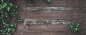 Obraz - Brečtan (120x50 cm)