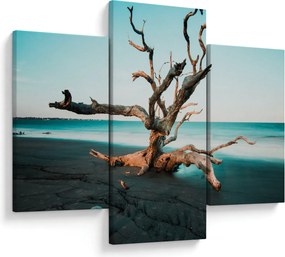 Obraz - Vyplavenie na pláži (90x60 cm)