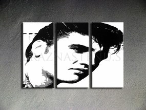 Ručne maľovaný POP Art obraz ELVIS