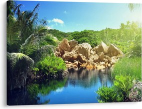 Obraz jazera v Seychelskej džungli (70x50 cm)