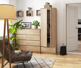 Uzavretý regál R60 2D 1SZ CLP dub sonoma