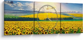 Obraz - Pole slnečníc (s hodinami) (90x30 cm)