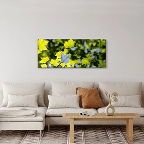 Obraz - javorové listy (120x50 cm)