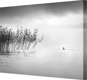 Plátno maľba By the Lake II
