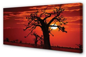 Obraz canvas Stromy oblohy oblačno 100x50 cm