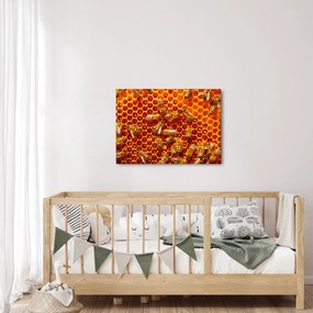 Obraz - Medový plást (70x50 cm)
