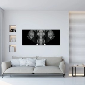 Obraz - Slon na čiernom pozadí (120x50 cm)