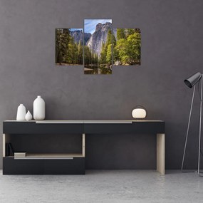 Obraz - Pod Yosemite skalou (90x60 cm)