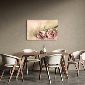 Obraz - Jemné ruže (90x60 cm)