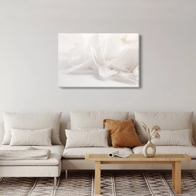 Obraz - Perie (90x60 cm)