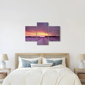 Obraz - Levanduľové pole (90x60 cm)