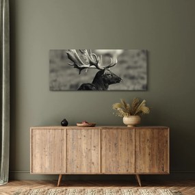Obraz - Jeleň (120x50 cm)