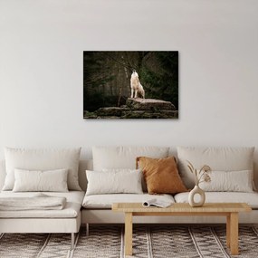 Obraz - Vytie vlka (70x50 cm)