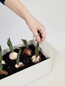 Ferm Living Truhlík na rastliny Plant Box Small Light Grey