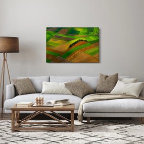 Obraz - Polia, lúky (90x60 cm)