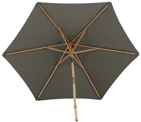 Corypho slnečník sivý 250 cm