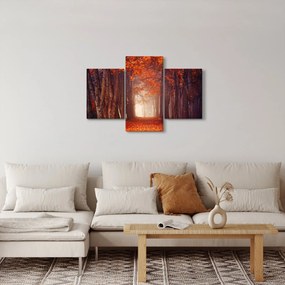 Obraz - Jesenné les (90x60 cm)