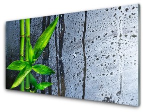 Skleneny obraz Bambus list rastlina príroda 100x50 cm