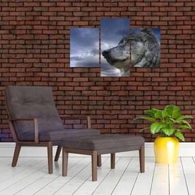 Obraz - Vlčia hlava (90x60 cm)