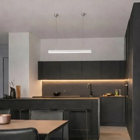 Brilagi - LED závesné svietidlo FULLDAY LED/10/15/20W/230V 2700/4000/6000K 60 cm biela